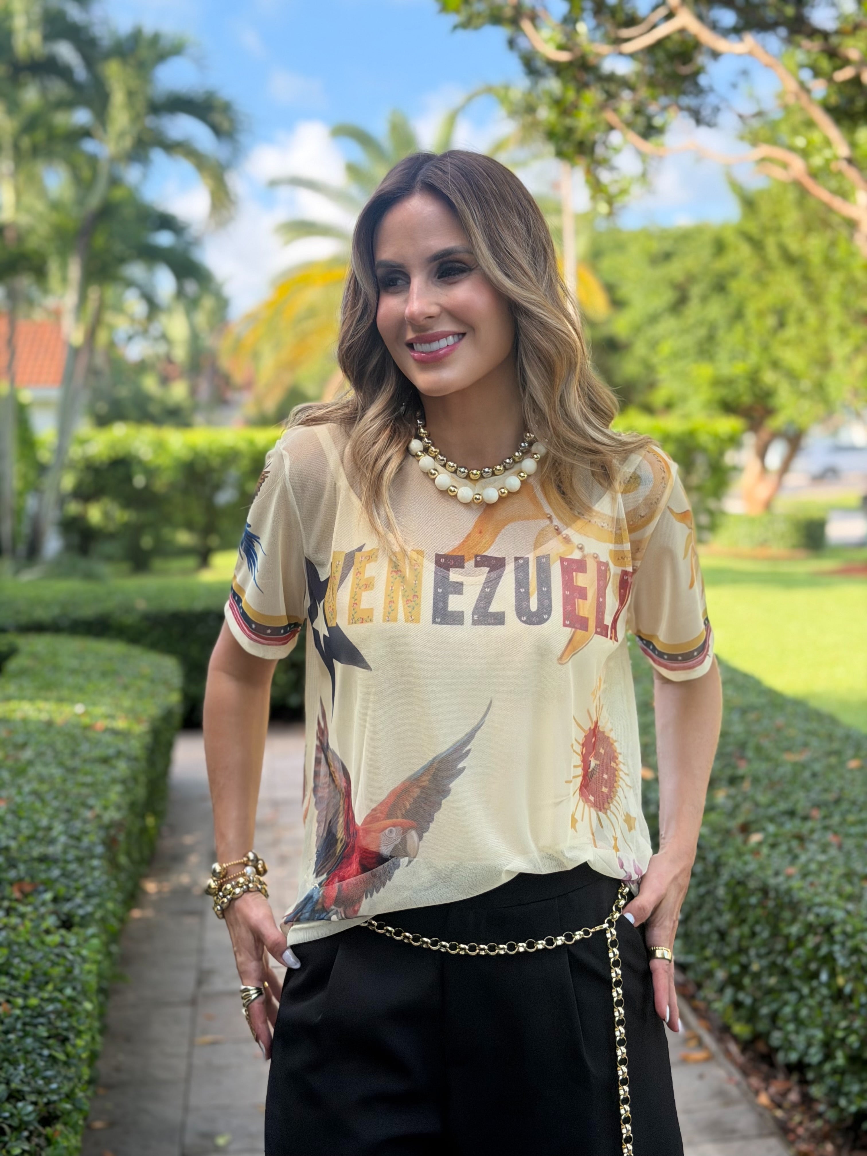 Shirt VSW Venezuela Colors (pre orden)