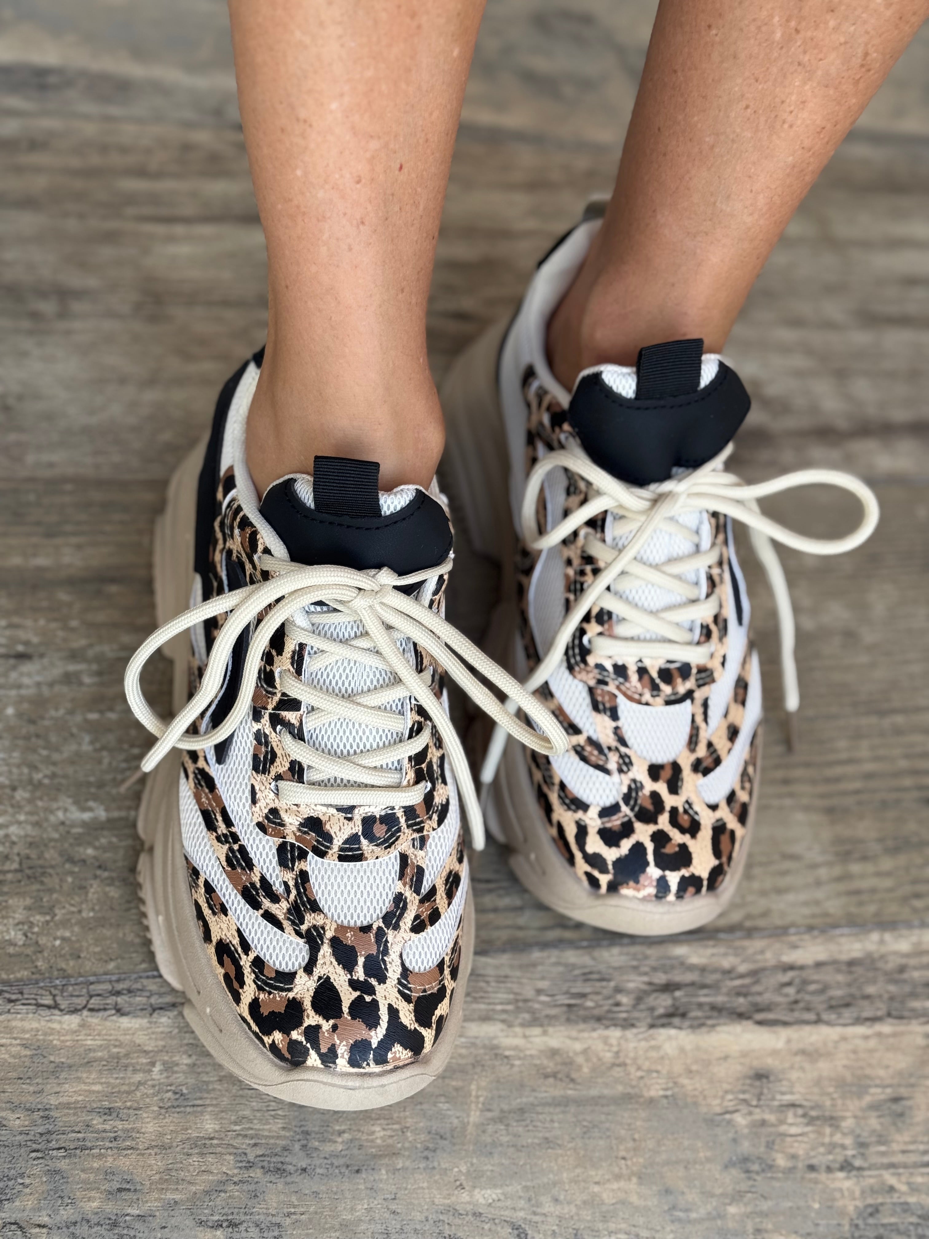 Shoes SP Animal 77