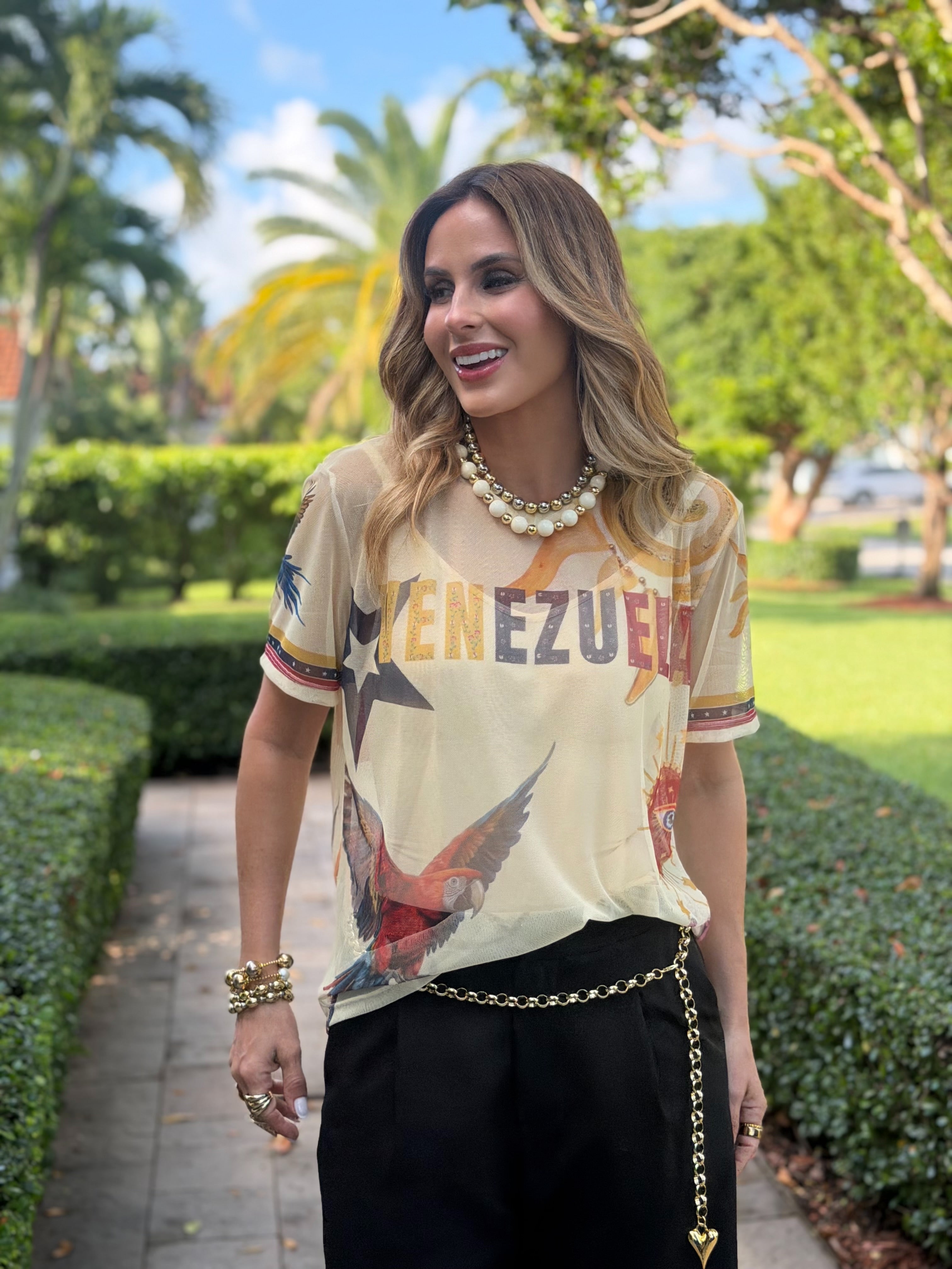 Shirt VSW Venezuela Colors (pre orden)