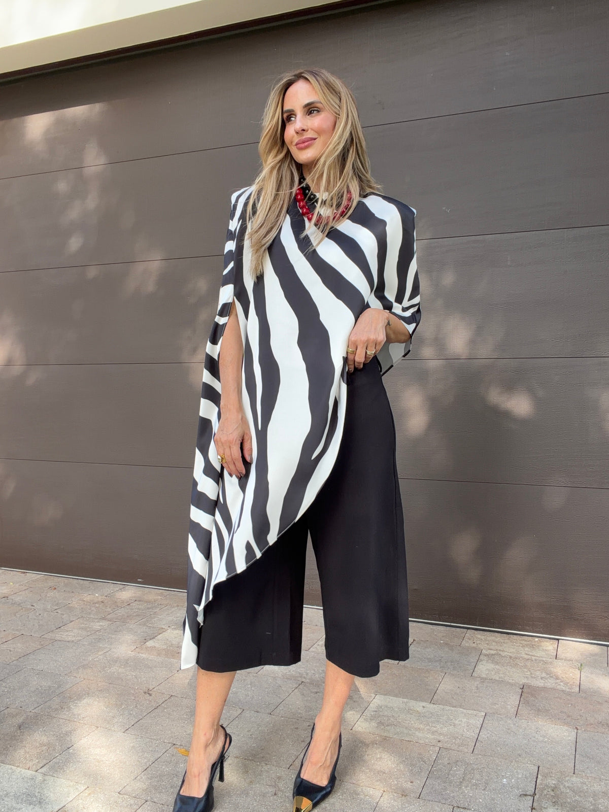 Top Zebra