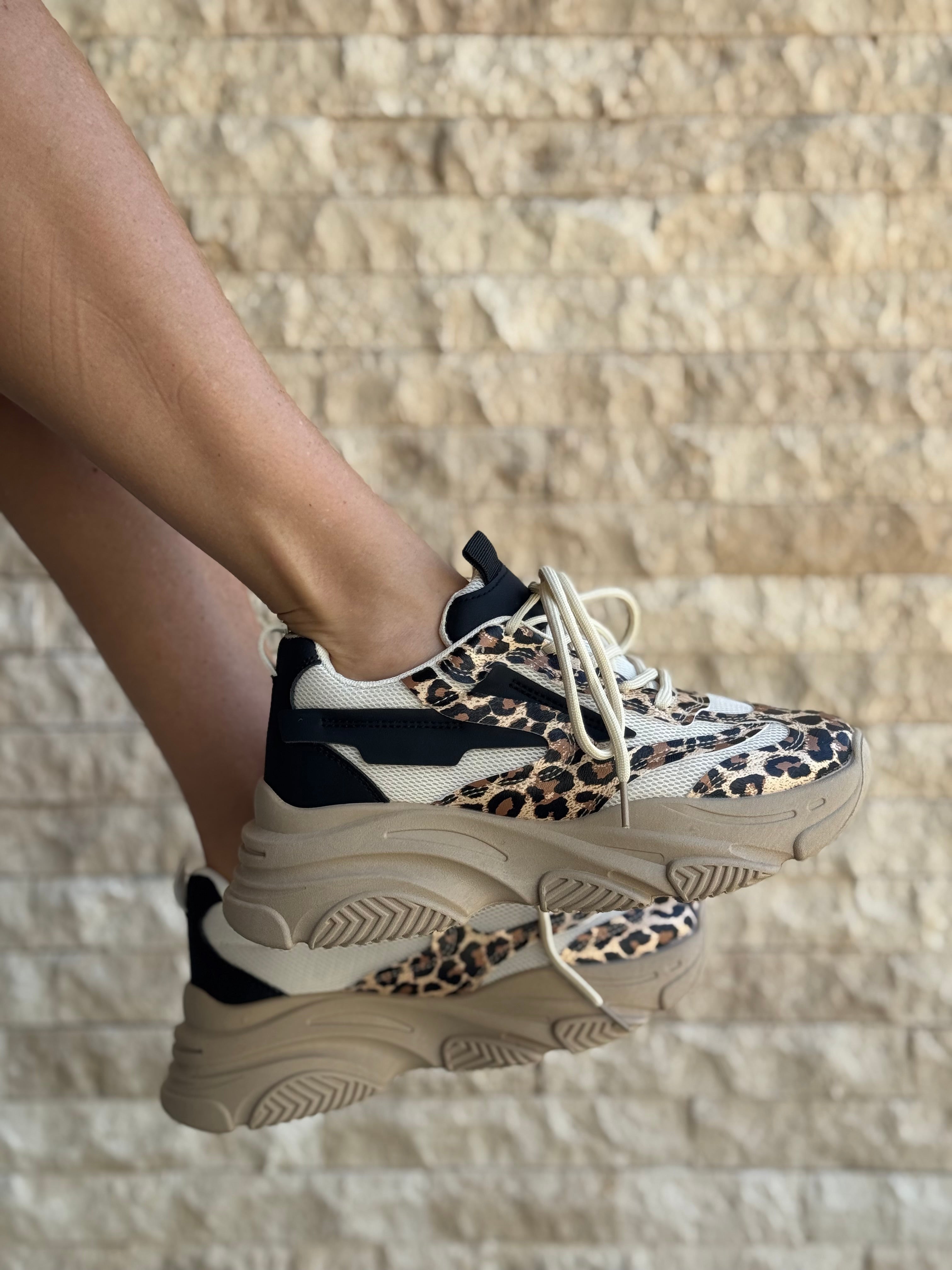 Shoes SP Animal 77
