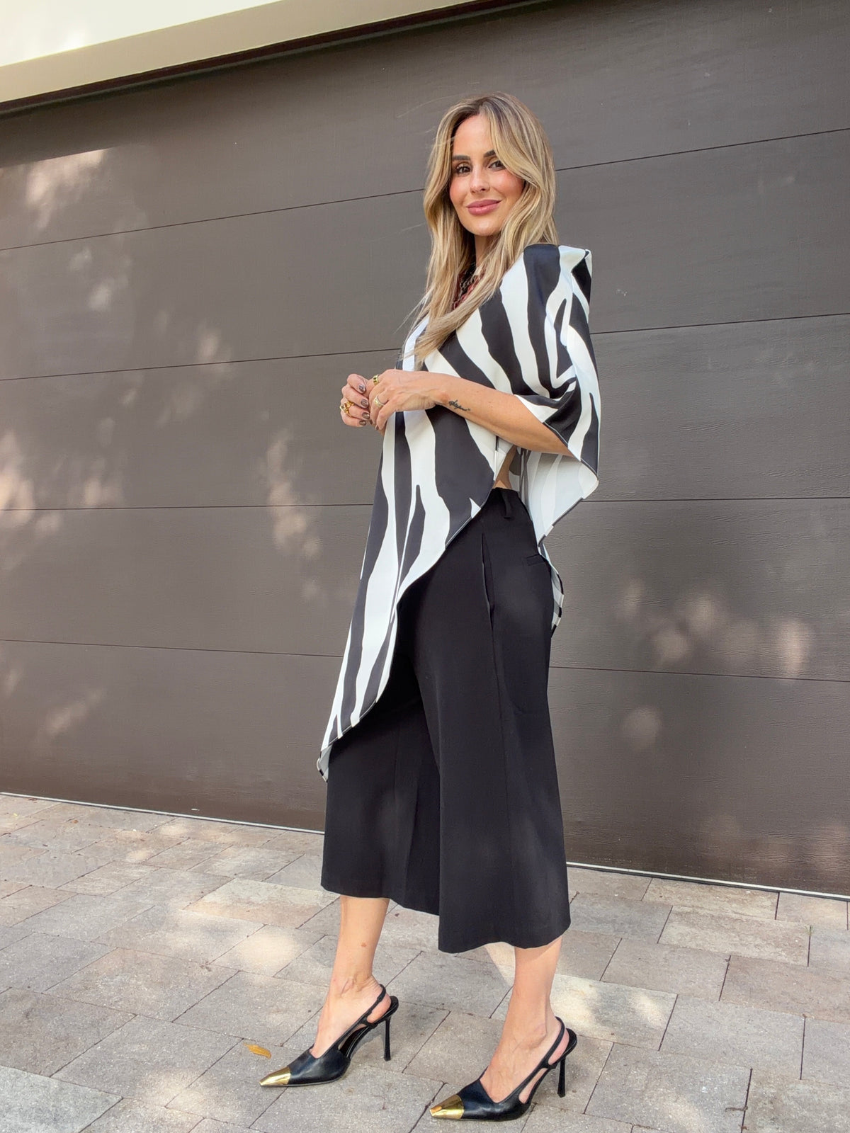 Top Zebra