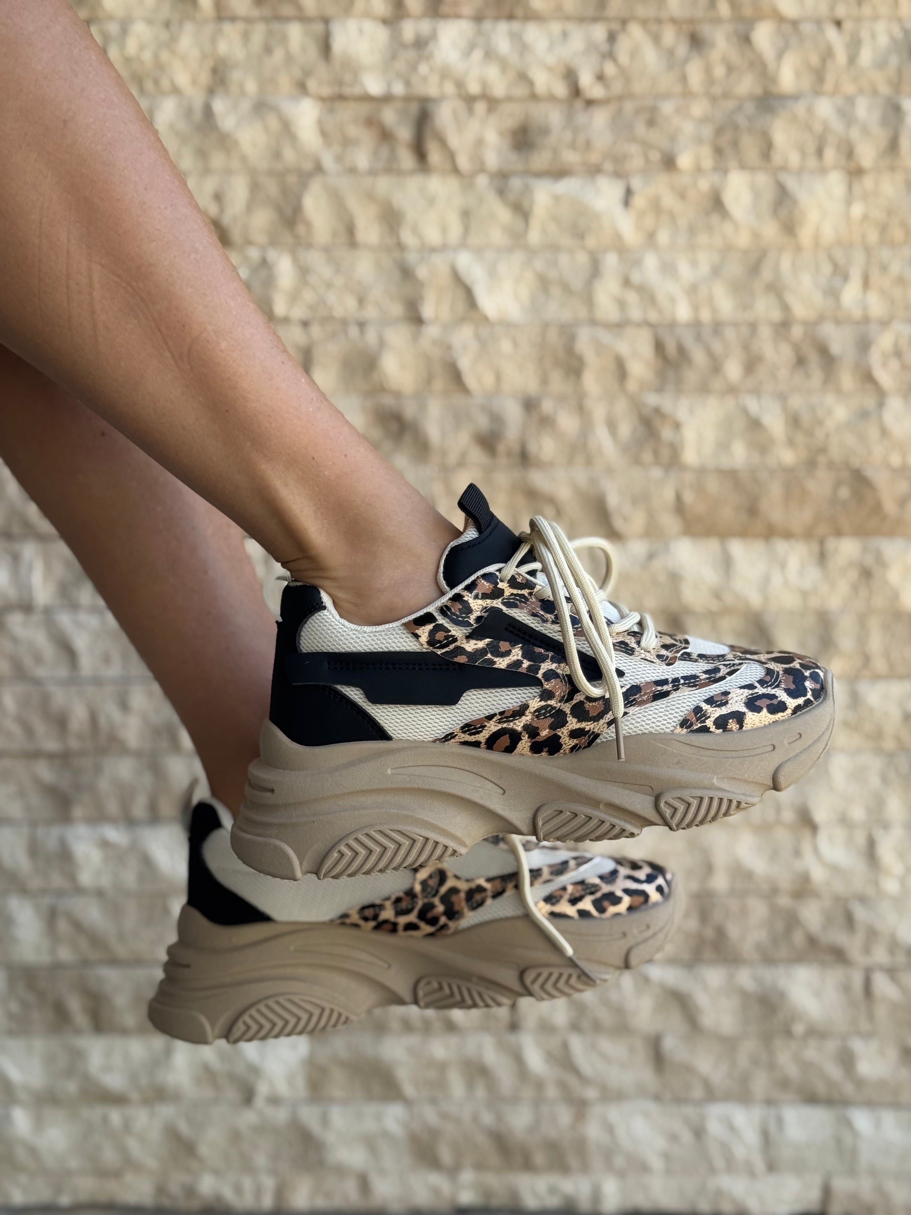 Shoes SP Animal 77