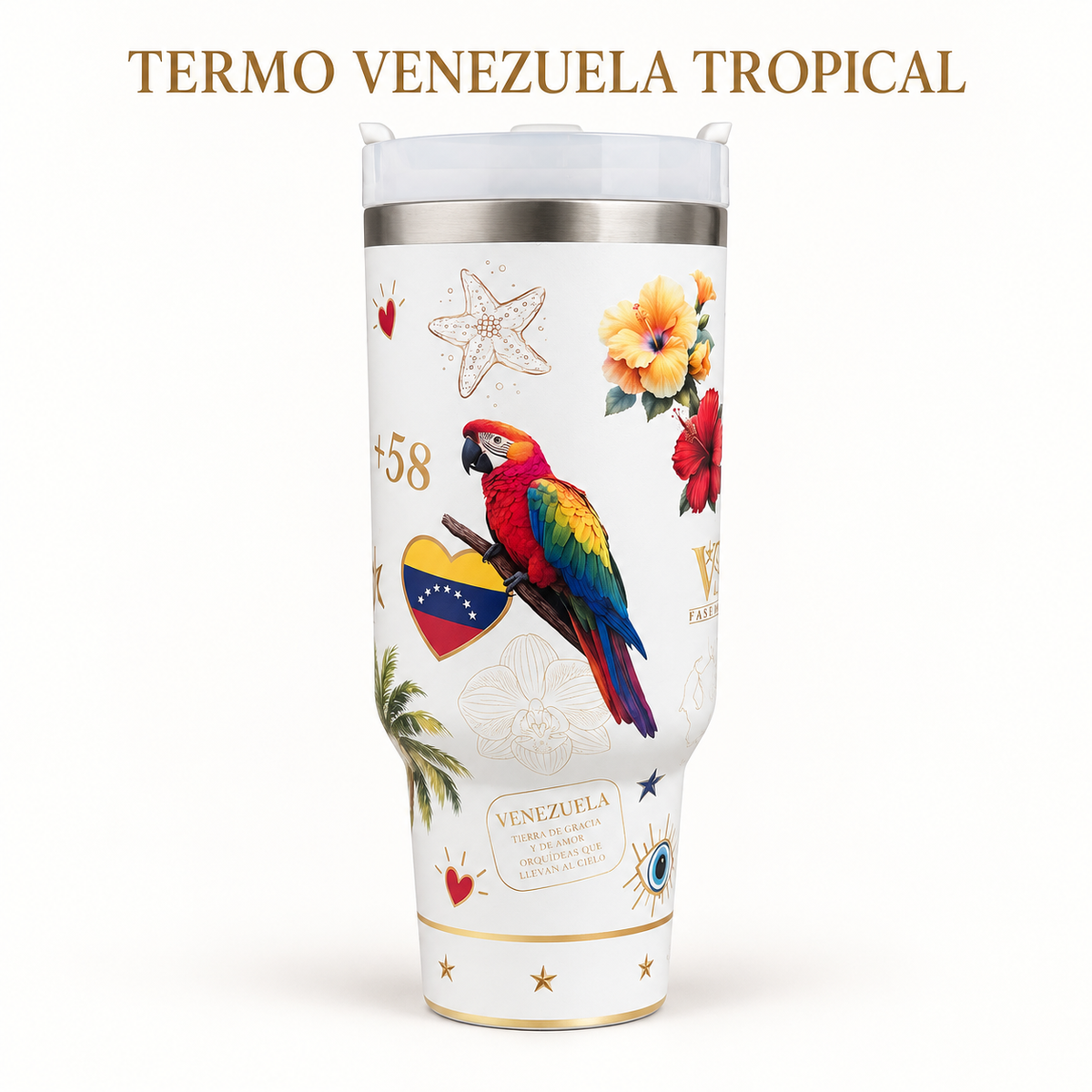 Termo VSW Venezuela Tropical